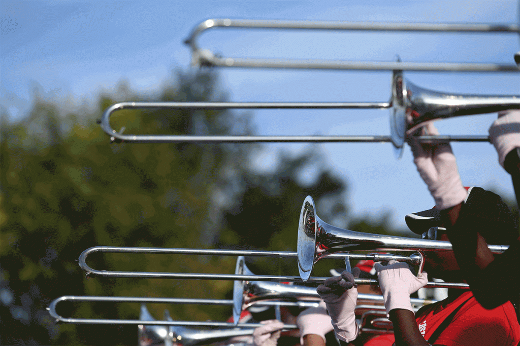 bl1_0955_pompoms_gif_static1